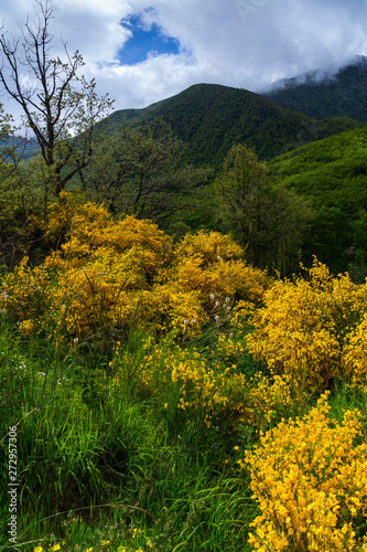 Fuentes del Narcea, Degaña e Ibias Natural Park, Asturias, Spain, Europe photo