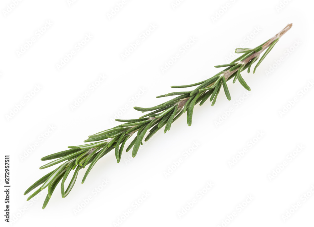 Fototapeta premium Fresh rosemary isolated on white background