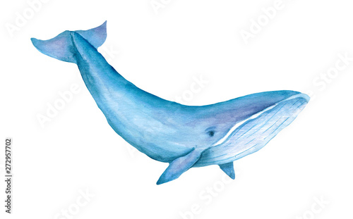 Blue whale watercolor illustration. Spirit animal  totem  wisdom holder  history keeper  peaceful strength  inner truth  creativity  emotional rebirth. Hand drawn painting  isolated  white background.