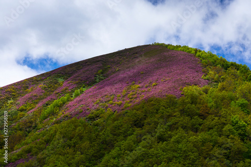 Fuentes del Narcea, Degaña e Ibias Natural Park, Asturias, Spain, Europe photo