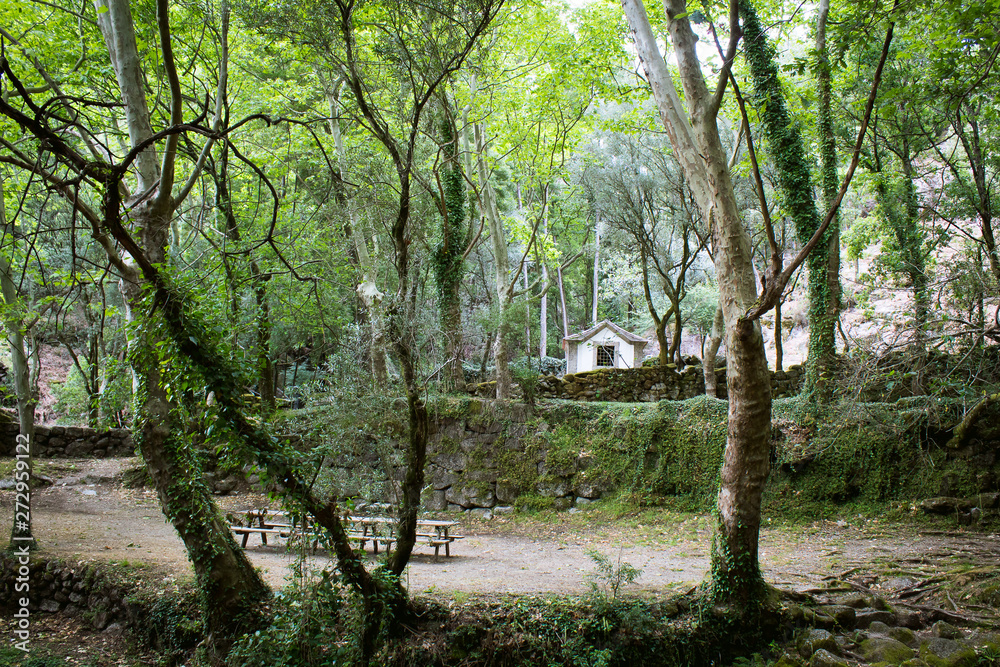 Nature in its purest form. Landscape of beautiful natural park with waterfalls in Nature in its purest form. Landscape of beautiful natural park with waterfalls in