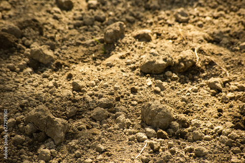 Clods of dry brown soil