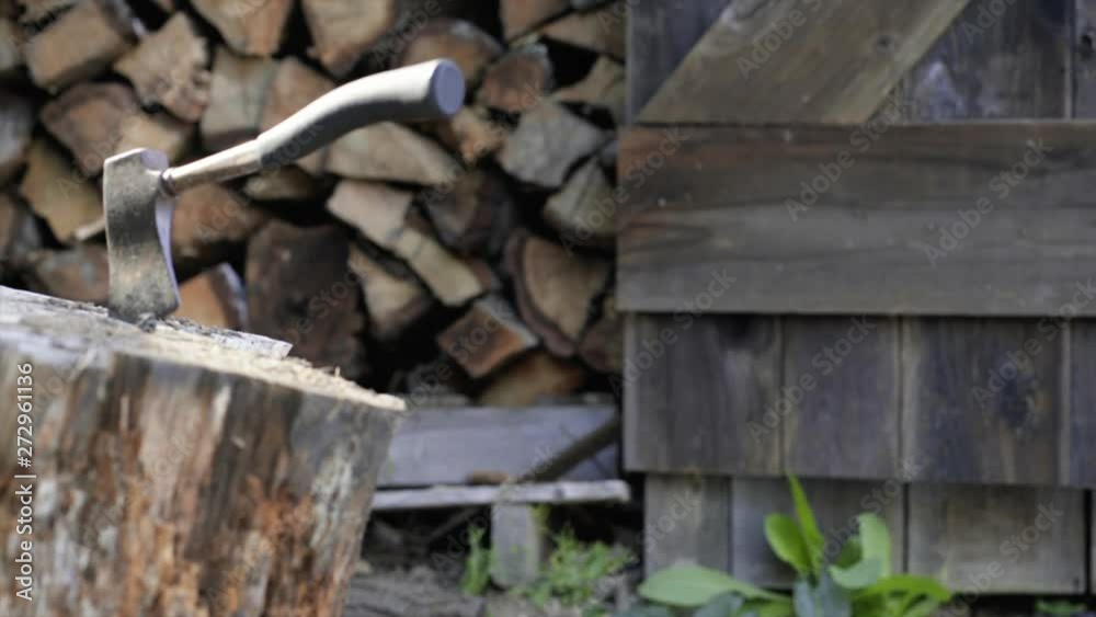 Man Walks Behind a Hatchet on a Stump to Set Logs on a Stack Man Walks Behind a Hatchet on a Stump to Set Logs on a Stack