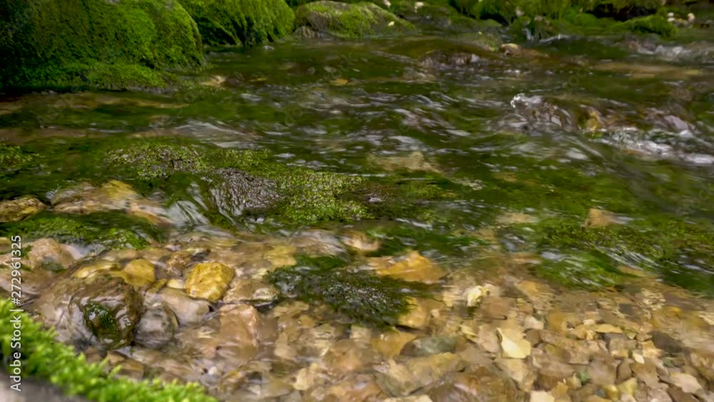 Mountain stream with clear water and stones in the moss. Mountain stream with clear water and stones in the moss.