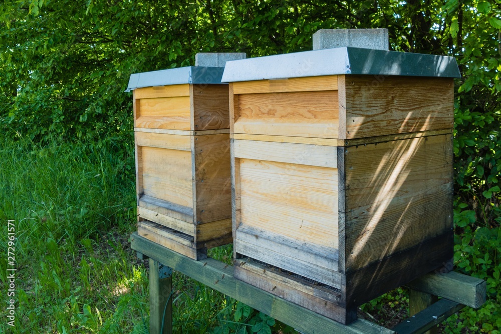 Hölzerne Bienenkästen Bienenstöcke Bienen Hölzerne Bienenkästen Bienenstöcke Bienen