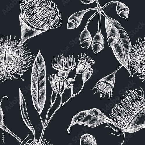 Seamless pattern with hand drawn chalk eucalyptus flower