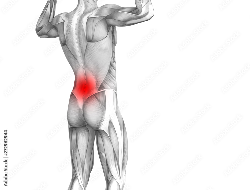 Conceptual back human anatomy with red hot spot inflammation articular joint pain or spine health care therapy or sport muscle concepts. 3D illustration man arthritis or bone sore osteoporosis disease Conceptual back human anatomy with red hot spot inflammation articular joint pain or spine health care therapy or sport muscle concepts. 3D illustration man arthritis or bone sore osteoporosis disease