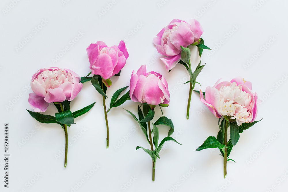 Five messy pink peony flowers with short stems and green leaves on white background. Five messy pink peony flowers with short stems and green leaves on white background.