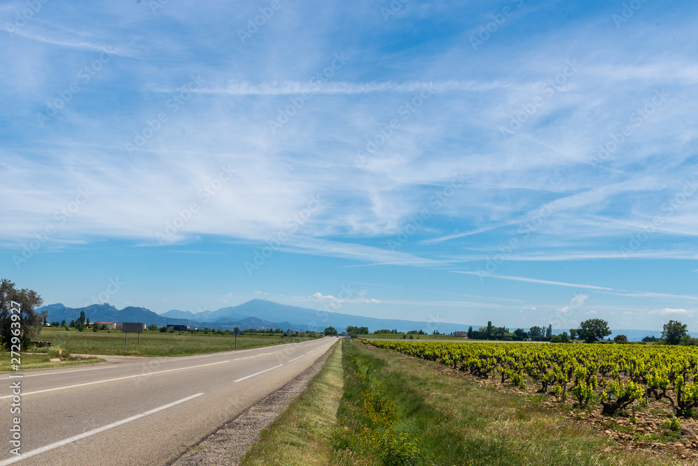 Landscape of vineyards leading to the Alpes Maritime.