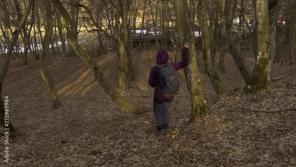 Woman in purple jacket walking down a hill in a forest acting silly. Lady happy to have survived a hike through Hoia Baciu, a famous haunted forest in Romania. Woman in purple jacket walking down a hill in a forest acting silly. Lady happy to have survived a hike through Hoia Baciu, a famous haunted forest in Romania.