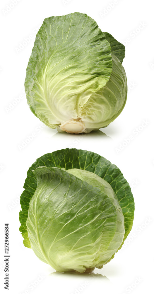 Fototapeta premium cabbage on white background