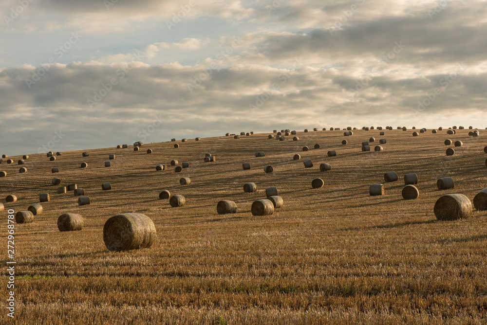 Straw bales are the beautiful scenery