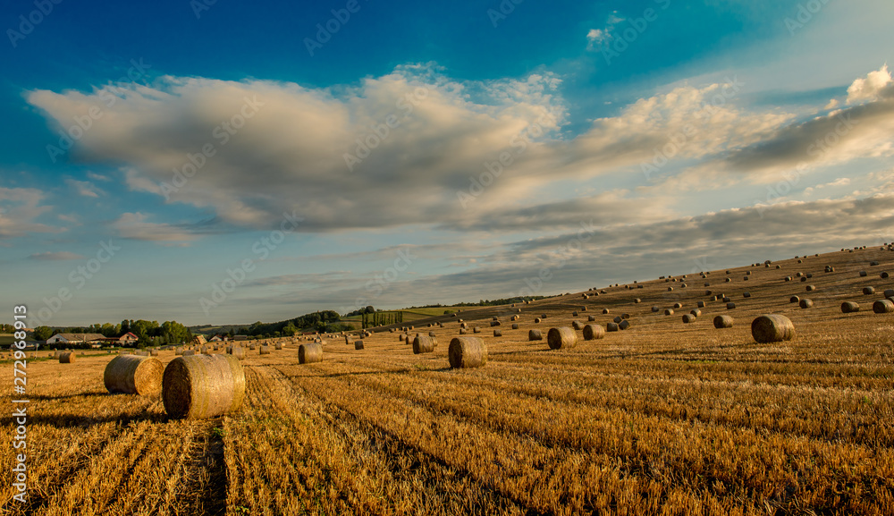Fototapeta premium Straw bales are the beautiful scenery