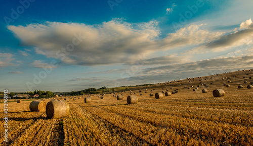 Straw bales are the beautiful scenery