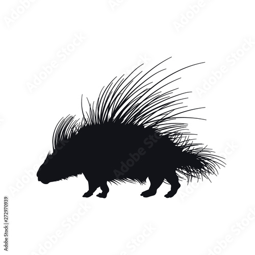 Black silhouette of african porcupine on white background. Isolated hedgehog icon. Wild animals of Africa. Savannah nature