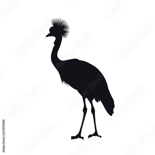 Black silhouette of african grey crowned crane on white background. Isolated bird icon. Wild animals of Africa. Savannah nature. Desert wildlife