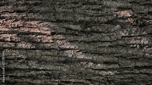 texture of tree bark. Brown background. Wood industry.