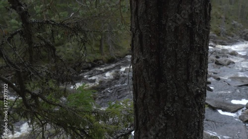 Girl walking and looking at the forest. Slowmotion photo