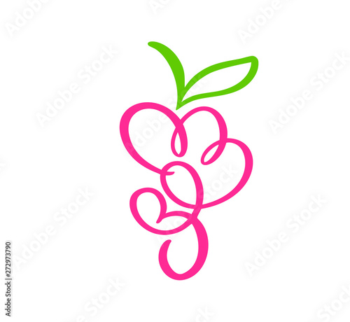 Vector hand drawn Bunch of grapes outline doodle icon fruit. Bunch of grapes sketch illustration for logo, print, web, mobile and infographics isolated on white background