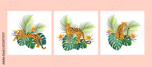 Tropical templates with leopards. Vector illustrations. Can be used for banner, poster, card, postcard and printable.