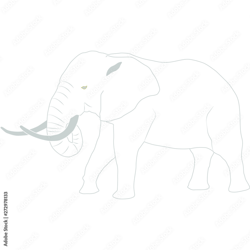 Elefant Afrika