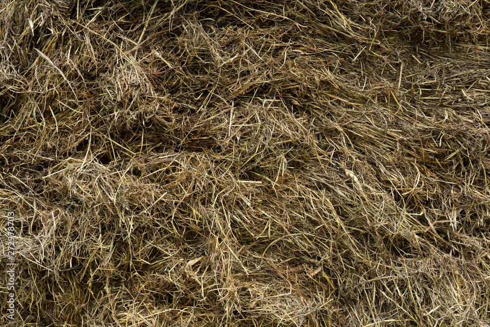 messy old hay stack texture topview messy old hay stack texture topview