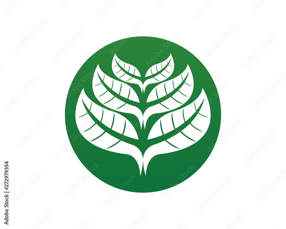 Leaf Green Nature logo and symbol template Vector Leaf Green Nature logo and symbol template Vector