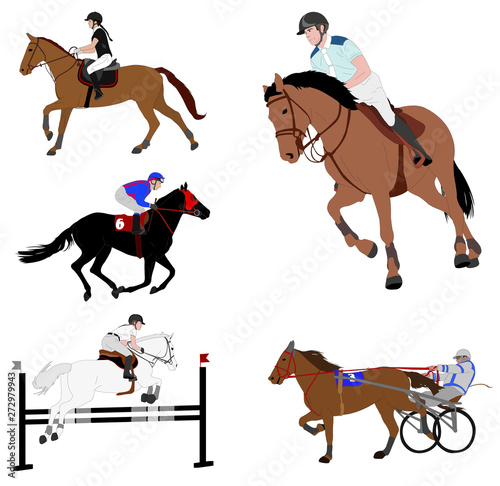 equestrian sports. dressage jump show gallop harness racing