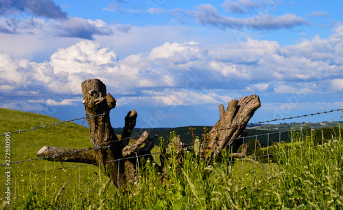 Views out over the Welsh Landscape in North Wales on Moel y Parc near Moel Famaua photo