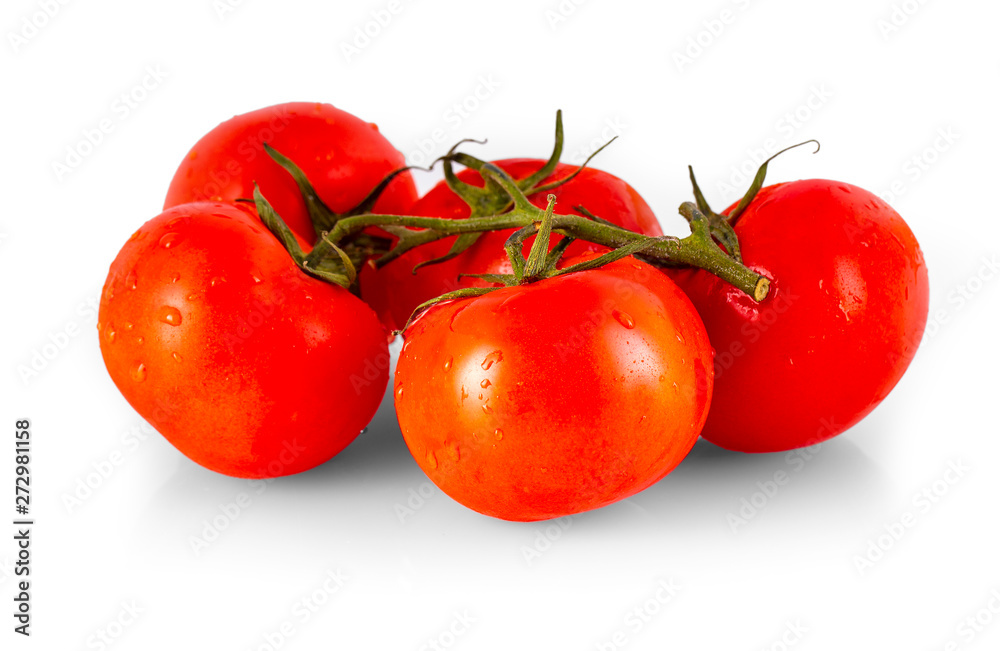 The red tasty fresh tomatos on the white background. The red tasty fresh tomatos on the white background.