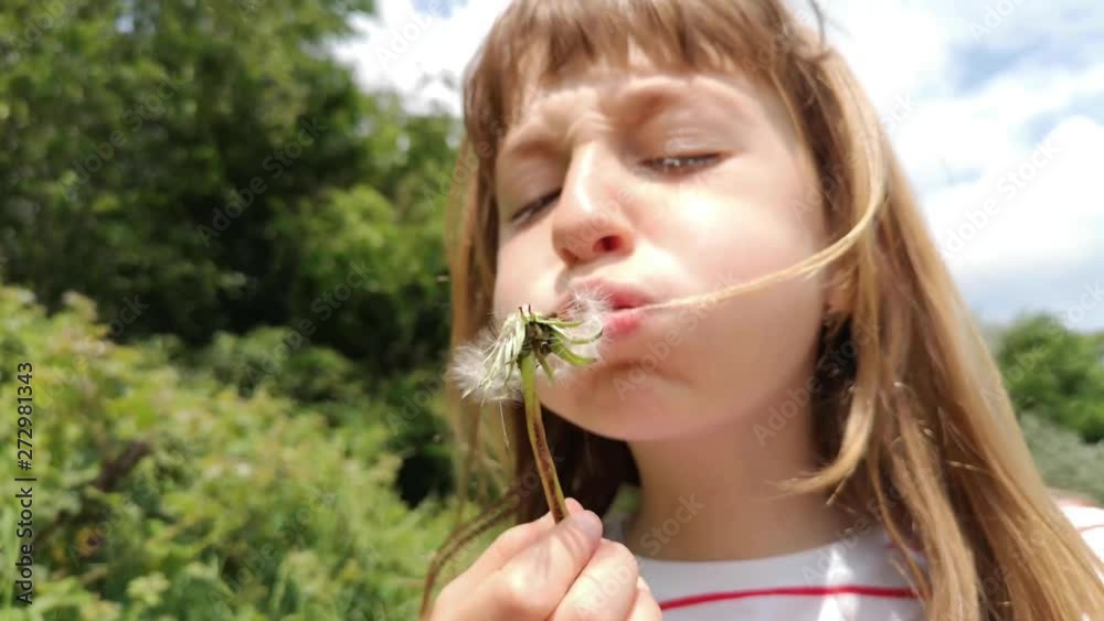 Thirteen-second clip of a small blonde-haired child frustrated as she attempts to blow out a dandelion plant. Thirteen-second clip of a small blonde-haired child frustrated as she attempts to blow out a dandelion plant.