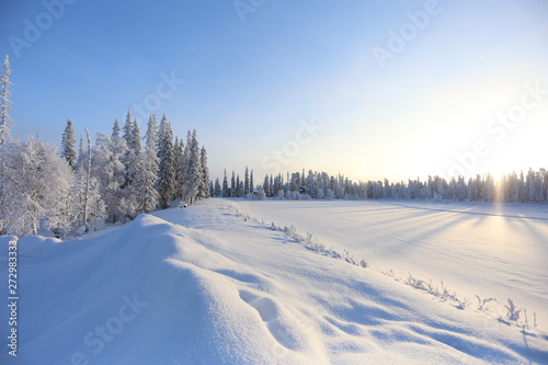 Beautiful sky in winter time in Lapland. Finlande