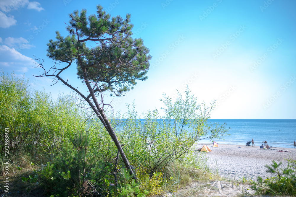 People are relaxing on sandy beach of the Baltic sea. Seaside resort at warm summer day on Baltic sea in Lithuania, Europe.