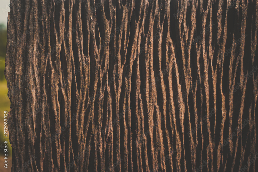 wood texture background wood texture background
