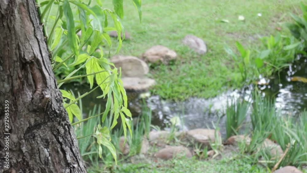 Branch Plant Part, Bright, Brunch, Environment, Freshness, Green Color, Landscape, Leaf, Light Natural Phenomenon, Lush Foliage, Luxuriant, Natural Condition, Nature, No People, Outdoors, Plant, Resor Branch Plant Part, Bright, Brunch, Environment, Freshness, Green Color, Landscape, Leaf, Light Natural Phenomenon, Lush Foliage, Luxuriant, Natural Condition, Nature, No People, Outdoors, Plant, Resor