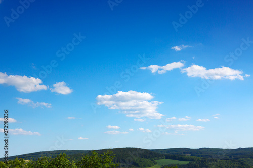 Beautiful summer trees on background high mountains.