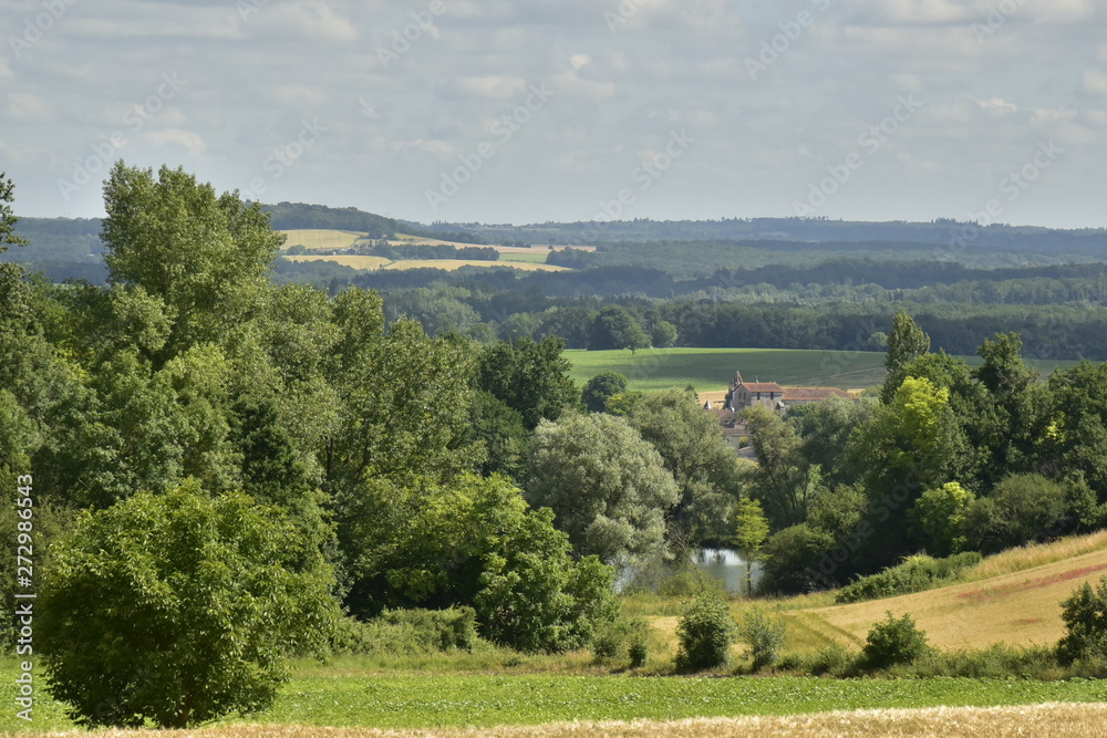 Fototapeta premium Petite forêt de différents arbres autour d'un étang isolé vers la vallée de la Lizonne au Périgord Vert