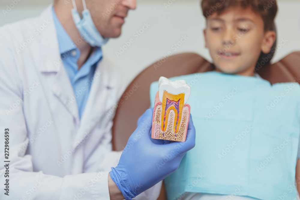 Cropped shot of a professional dentist explaining dental care to a young boy, showing him tooth model. Dentist education little patient about oral healthcare, copy space. Selective focus on a tooth mo