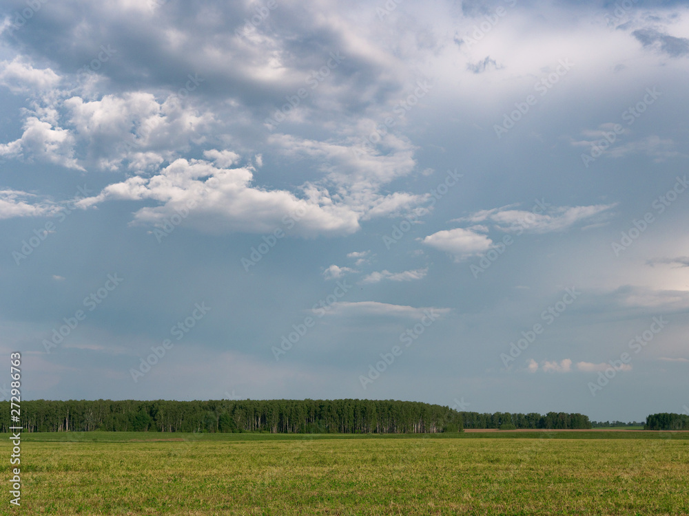 beautiful white clouds in the sky float above the field beautiful white clouds in the sky float above the field