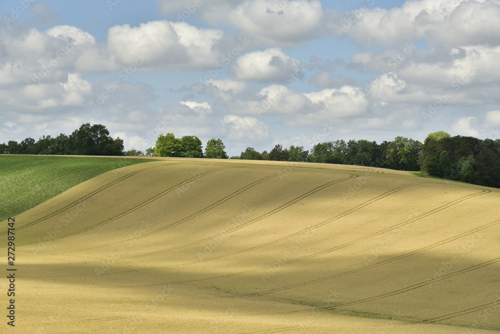 Ombres de cumulus sur un talus de blé à Vendoire au Périgord Vert