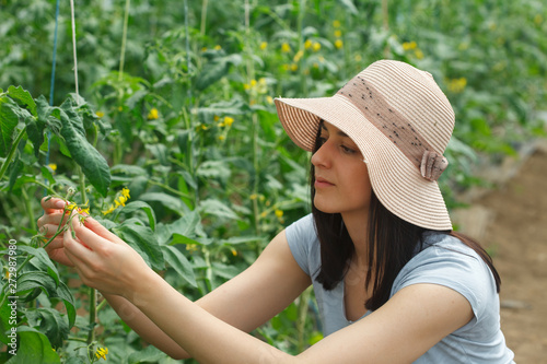 Young, beautufull woman with a hat working in a greenhouse. Woman farmer checking the flower of a tomato plant. Growing organic vegetables in a green house. photo
