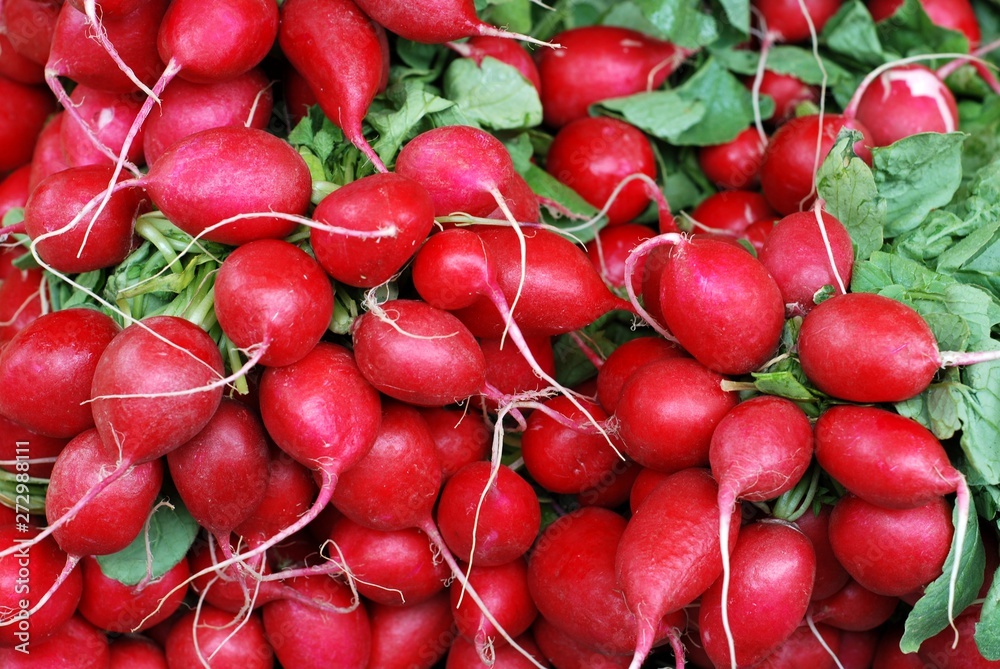 Radish. Bunch of fresh radishes on vegetable market. Radish. Bunch of fresh radishes on vegetable market.