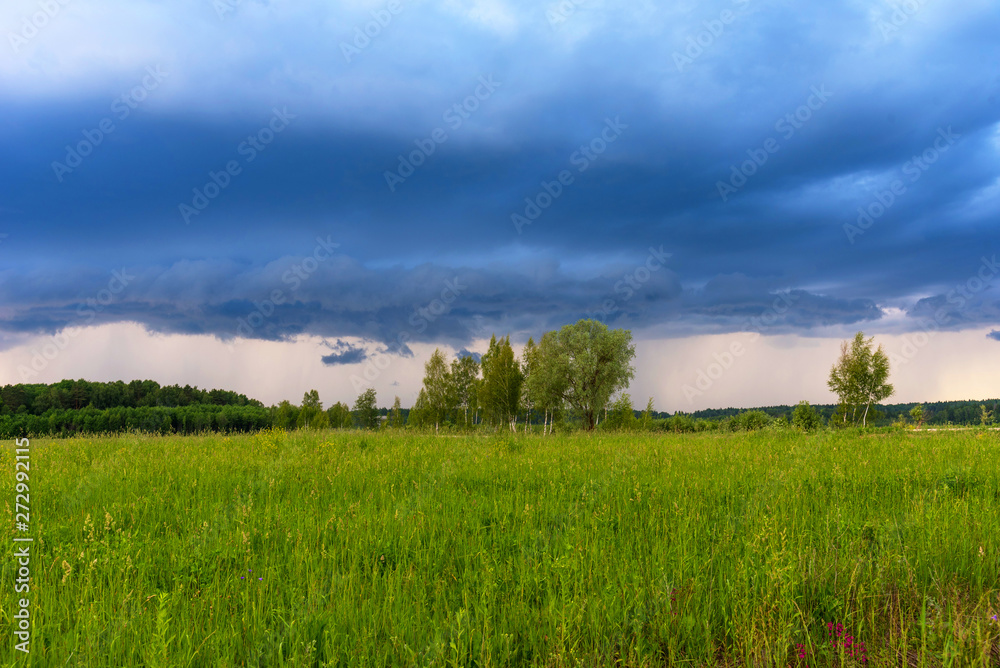 Rural landscape green field with dramatic sky. Grey dark sky before thunderstorm in summer.