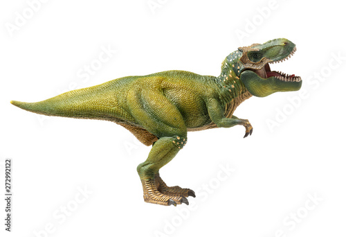 green tyrannosaurus on white background © zcy