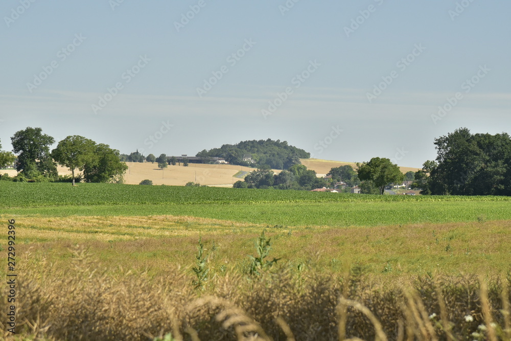 Paysage rural du Périgord Vert en été près du bourg de Champagne-et-Fontaine
