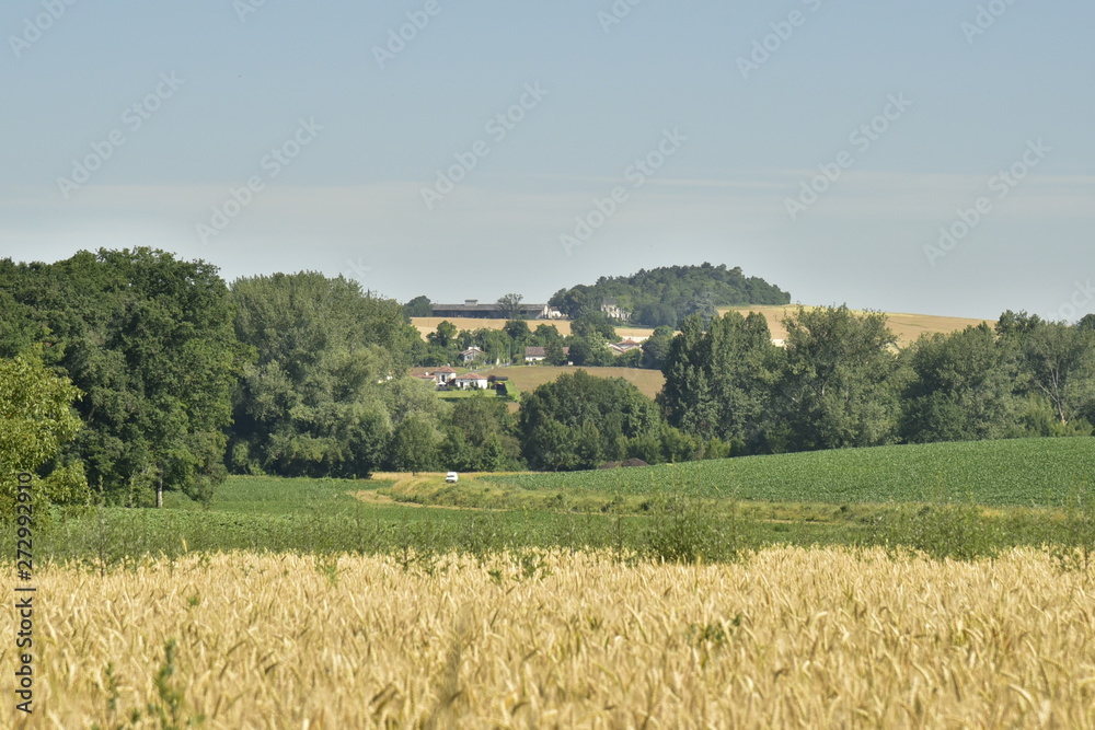 Colline au sommet boisé derrière les prairies et bois aux environs de Bourg de Champagne au Périgord Vert