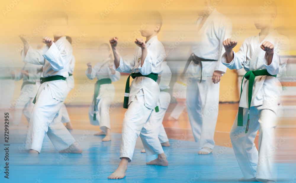 Fototapeta Martial arts art. Colored background with elements of movement and blur on the topic of children in karate. Without faces. For web design and printing.