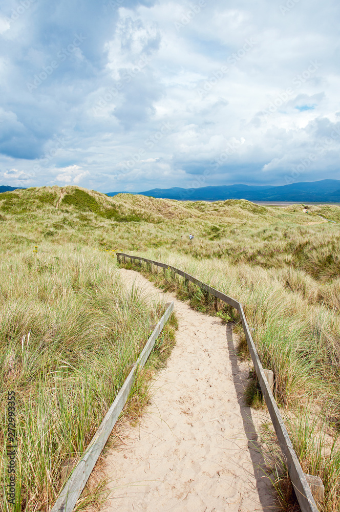 Sand dunes and boardwalk in the summertime.