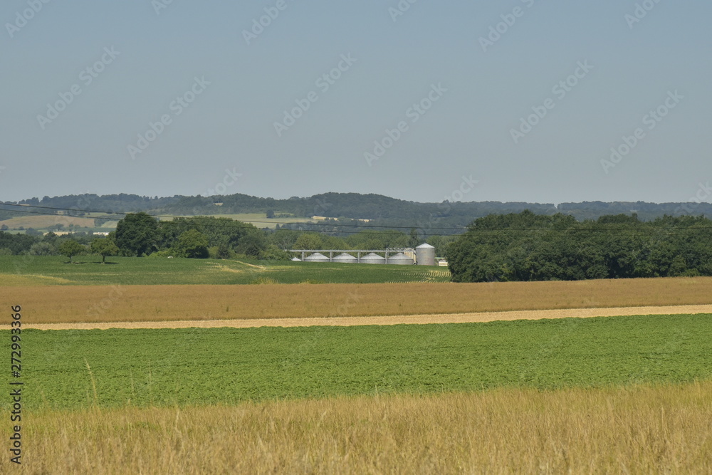 Contrastes entre les différentes plantations de blés et de maïs devant les silos à grains au Périgord Vert