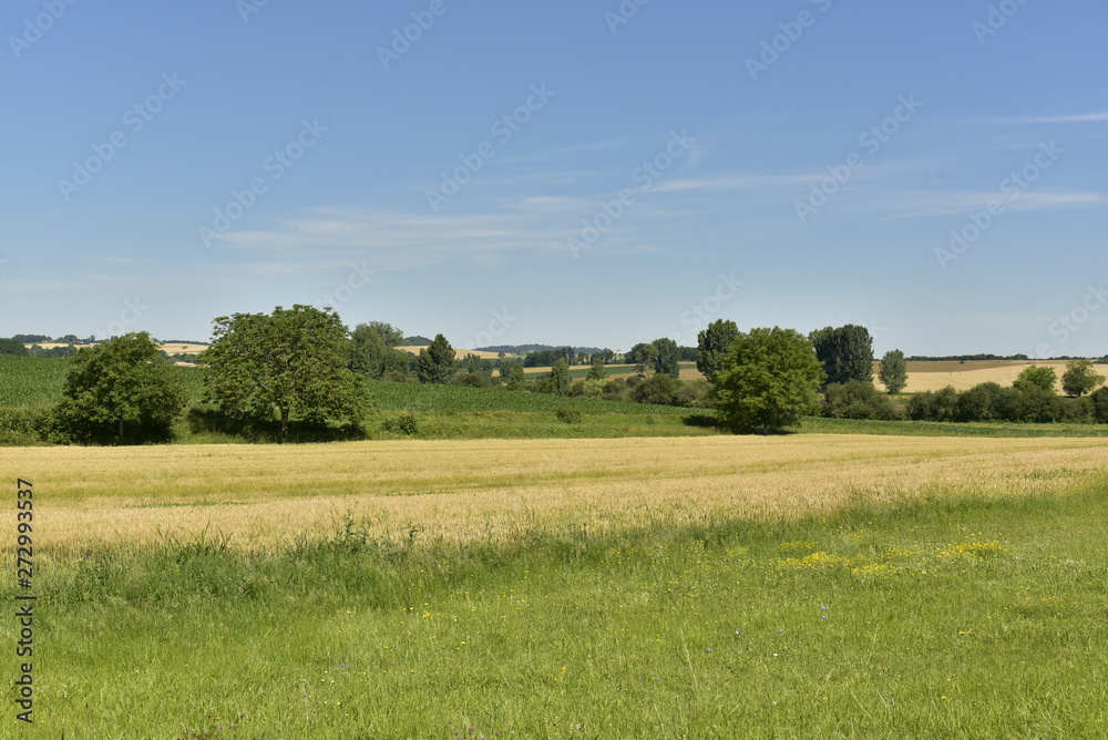 Paysage rural du Périgord Vert en été près du bourg de Champagne-et-Fontaine